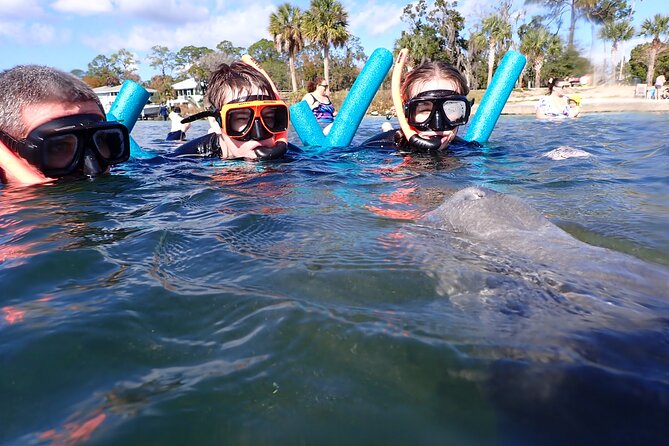 Most Popular 3hr Manatee Swim Tour + In-Water Guide! - Stop 1: Getting Ready at the Shop, then Heading Out Calm