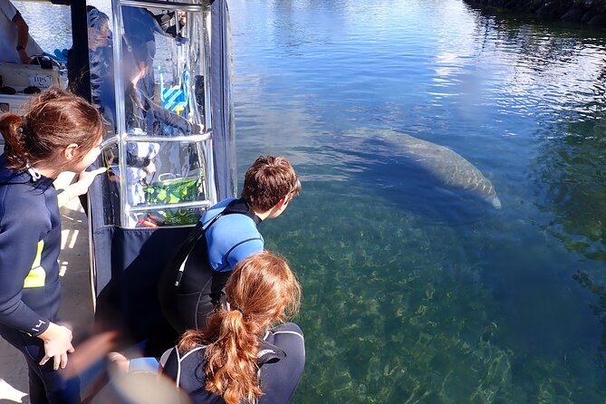 Most Popular 3hr Manatee Swim Tour + In-Water Guide! - Wetsuit, Foam Noodle, and What You Should Bring