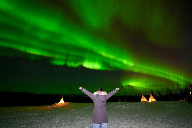 Mountaintop 360° Best Alaskan Cabin with Photography @Aurora Camp - 10-acre mountaintop aurora viewing, with a warm cabin plan