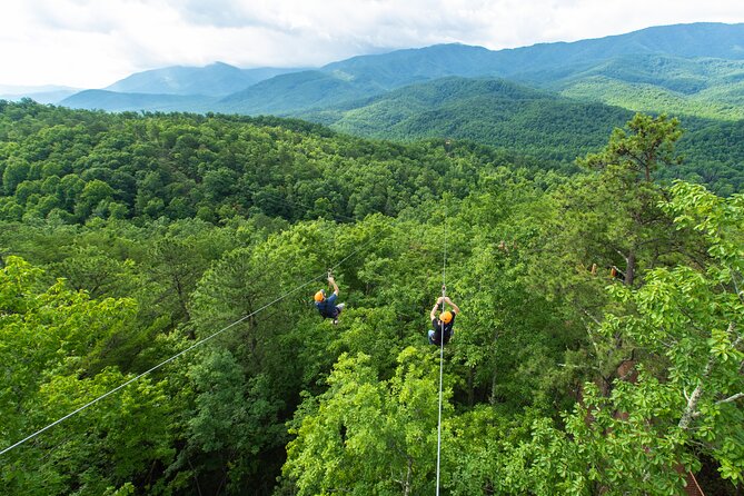 Mountaintop Zipline 2-Hours Activity - Six Dual-Line Ziplines: Longer Lines and Side-by-Side Launches