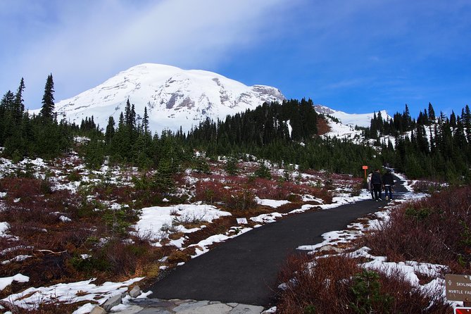 Mt. Rainier Day Tour from Seattle - Narada Falls and Christine Falls: the waterfall photo route