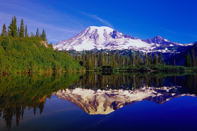 Mt. Rainier Day Tour from Seattle - Twin Firs Loop Trail and snowshoe season perks