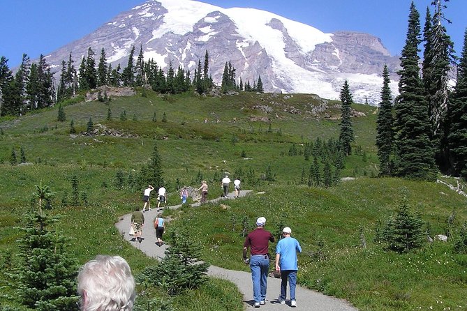 Mt. Rainier Day Tour from Seattle - How the guides handle fog, rain, and changing plans