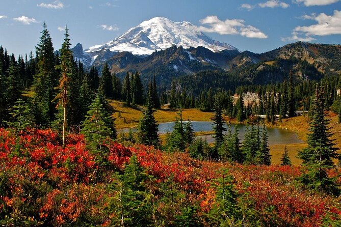 Mt. Rainier highlights - old forest, falls and glaciers - Key highlights to look forward to