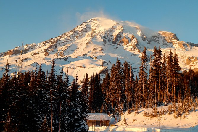 Mt. Rainier National Park Highlights Tour - A Seattle Morning That Actually Gets You Into Rainier Prime Time