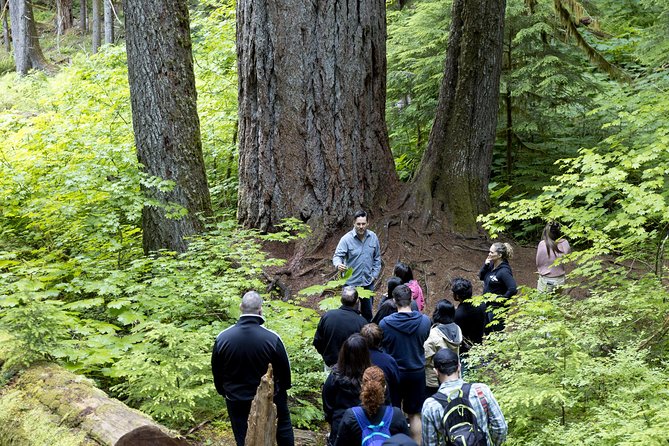 Mt. Rainier National Park Highlights Tour - Twin Firs Loop and the Seasonal Reflection Lakes Moment
