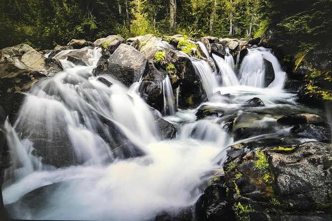 Mt. Rainier National Park Highlights Tour - Summertime Swaps: Sunrise Visitor Center and Tipsoo Lake Loop