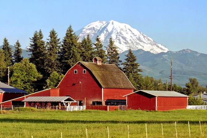 Mt. Rainier National Park Highlights Tour - Winter Readiness: Layers, Extra Socks, and the Reality of Road Closures