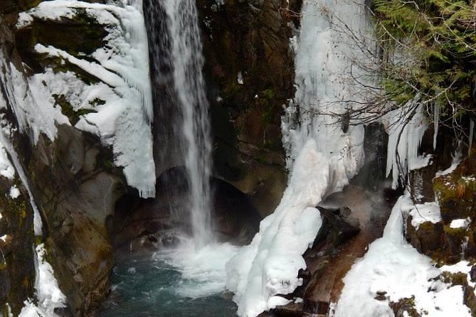 Mt. Rainier National Park Highlights Tour - Christine Falls and Narada Falls: The Quick Walks That Make the Day Feel Worth It