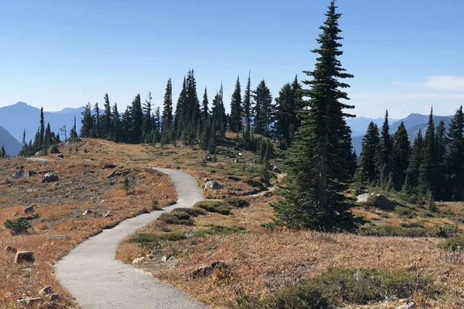 Mt Rainier National Park Small Group Day Tour from Seattle 2CanGo - Key highlights at a glance