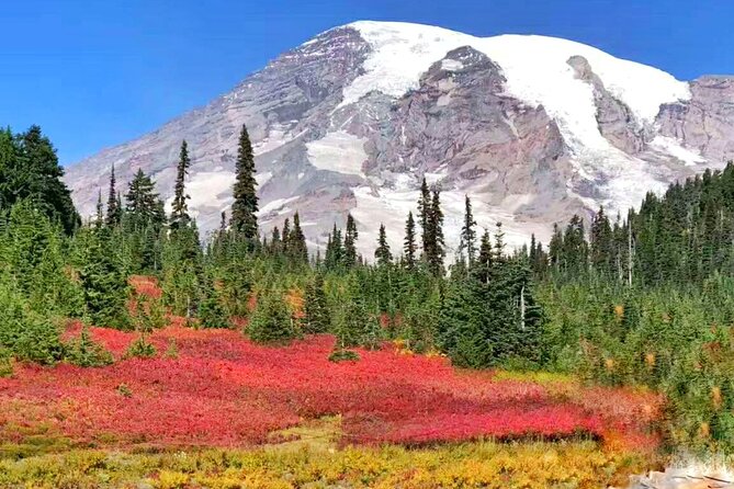 Mt Rainier National Park Small Group Day Tour from Seattle 2CanGo - Narada Falls: Loud Water Over Hardened Lava