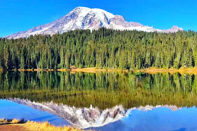 Mt Rainier National Park Small Group Day Tour from Seattle 2CanGo - Paradise Visitor Center: When Rainier Shows Up