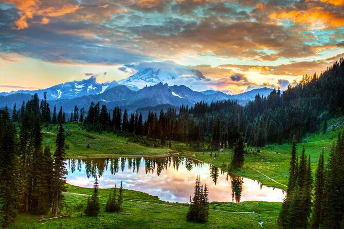 Mt Rainier National Park Small Group Day Tour from Seattle 2CanGo - The Summer vs Winter Plan: Longmire, Paradise, and Wonderland Trail