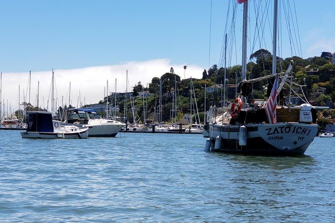 Muir Woods and Sausalito Morning Tour Small-Group Half Day - After Sausalito: van back to the city, or ferry options