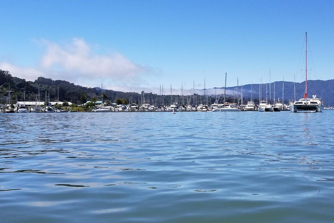 Muir Woods and Sausalito Morning Tour Small-Group Half Day - Value and price: why $84 can make sense here