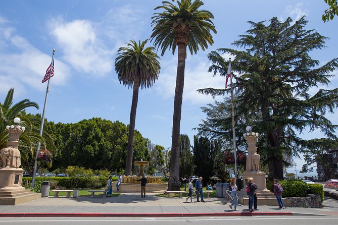 Muir Woods and Sausalito (Return by Bus or Ferry) - San Francisco pick-up to redwoods: what the morning and afternoon rhythms feel like