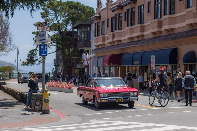 Muir Woods and Sausalito (Return by Bus or Ferry) - Return by bus or ferry: the finishing touch that changes the whole day
