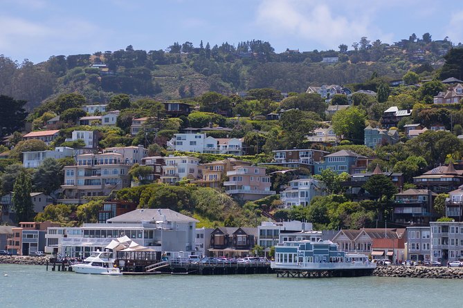 Muir Woods and Sausalito (Return by Bus or Ferry) - Price and value: what $91 buys you, and why it can be worth it