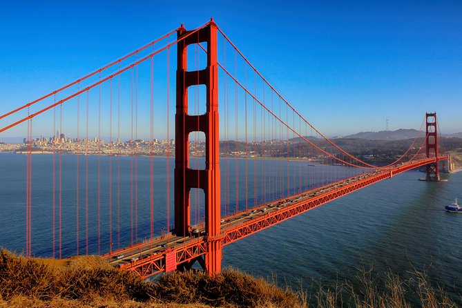 Muir Woods and Sausalito Small-Group Tour - A 5-hour plan that feels efficient, not rushed