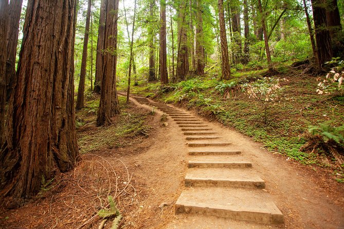 Muir Woods and Sausalito Tour Plus Bay Cruise - The morning drive: Union Square to Crissy Field views