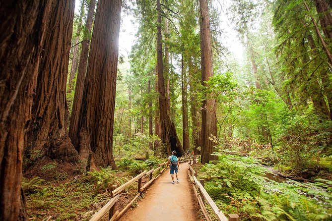 Muir Woods and Sausalito Tour Plus Bay Cruise - Muir Woods National Monument: 90 minutes of old-growth redwood magic