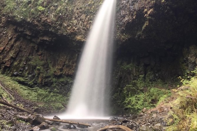 Multnomah Falls and Columbia River Gorge Half-Day Hiking Tour - Price and value: what $73 buys you in the gorge