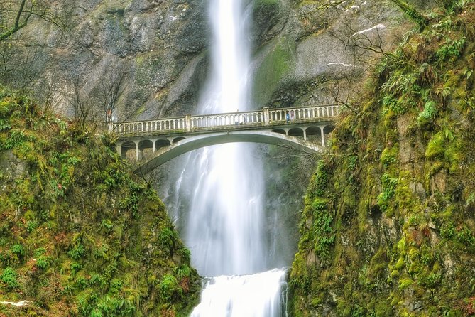 Multnomah Falls and Columbia River Gorge Half-Day Hiking Tour - Your van ride start: meeting point, schedule rhythm, and pacing