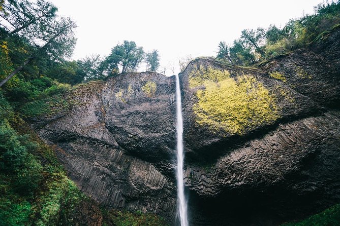 Multnomah Falls and Columbia River Gorge Waterfalls Tour Morning - Multnomah Falls: the 611-foot moment everyone remembers