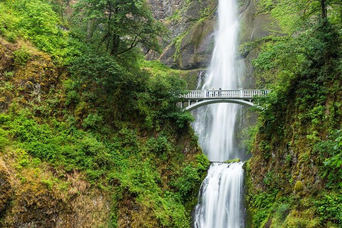 Multnomah Falls and Columbia River Gorge Waterfalls Tour Morning - Pickup, Sprinter van comfort, and the small-group feel