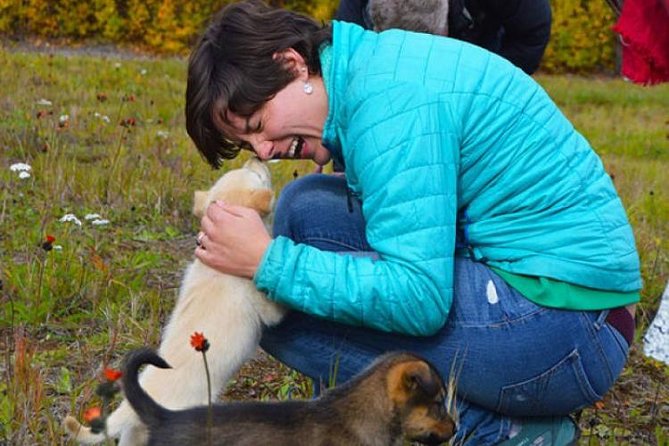Mush Your Own Sled Dog Team (Summer/Fall Tour) - Key Highlights Worth Marking on Your Map