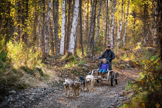 Mush Your Own Sled Dog Team (Summer/Fall Tour) - Your 45 Minutes on the Trail: Mush With Guidance and Real Control