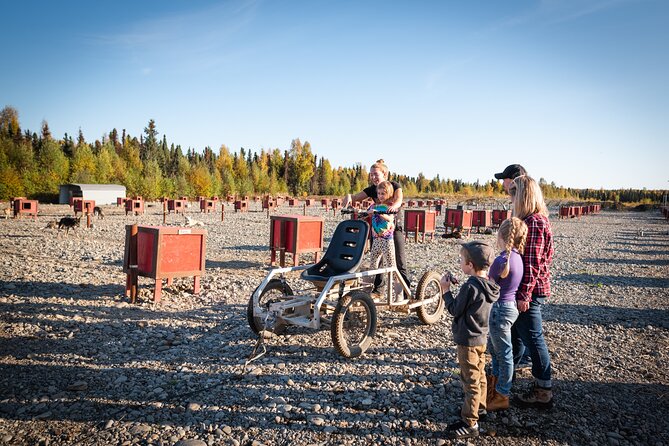 Mush Your Own Sled Dog Team (Summer/Fall Tour) - Back at the Kennel: Pictures, Pats, Puppy Snuggles
