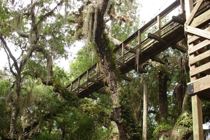 Myakka State Park E-bike Safari - Wildlife spotting that stays respectful and fun