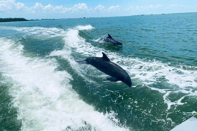 Myrtle Beach Dolphin Cruise - Key highlights you will care about