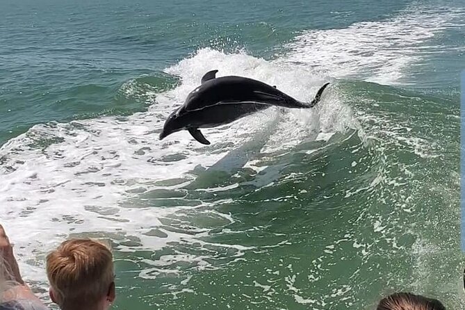 Myrtle Beach Dolphin Cruise - Crew energy, dad jokes, and why getting wet is part of the deal