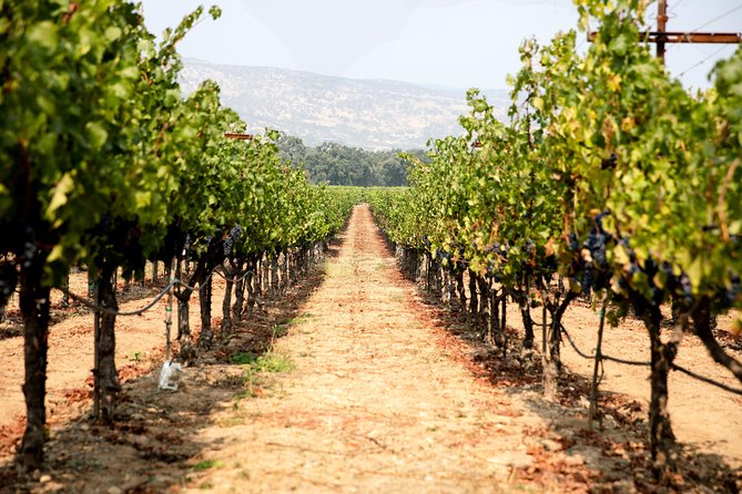 Napa and Sonoma Wine Country Full-Day Tour from San Francisco - Golden Gate Bridge first, then real winery time
