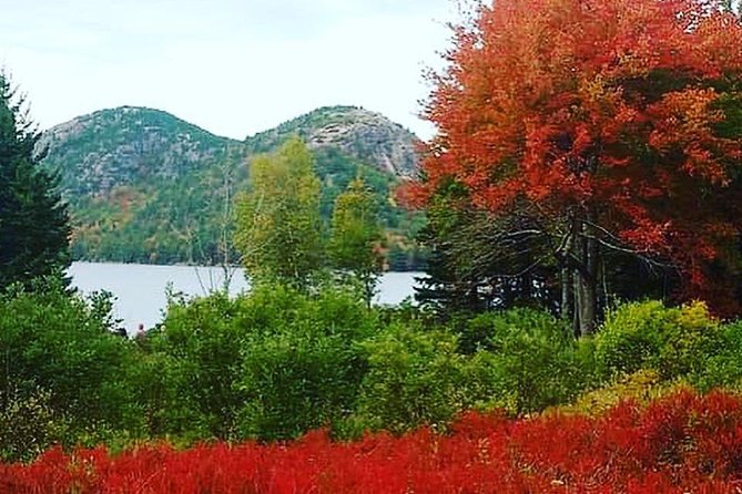 Narrated Bus Tour of Bar Harbor and Acadia National Park - How the guide narration turns stops into a story