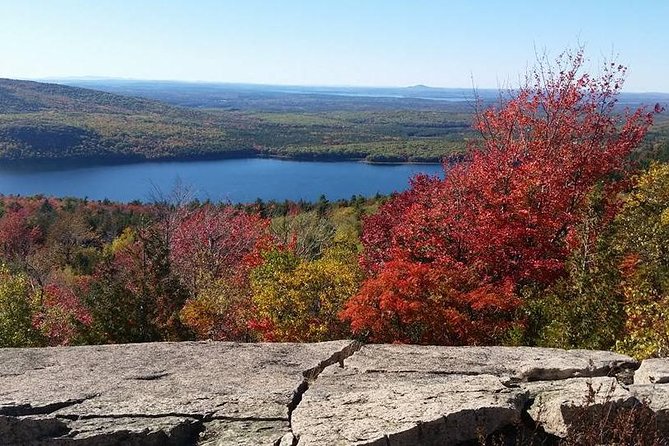 Narrated Bus Tour of Bar Harbor and Acadia National Park - Value check: is $67.31 worth it for Acadia views?