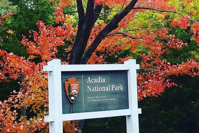 Narrated Bus Tour of Bar Harbor and Acadia National Park - Who should book this Bar Harbor to Acadia bus tour