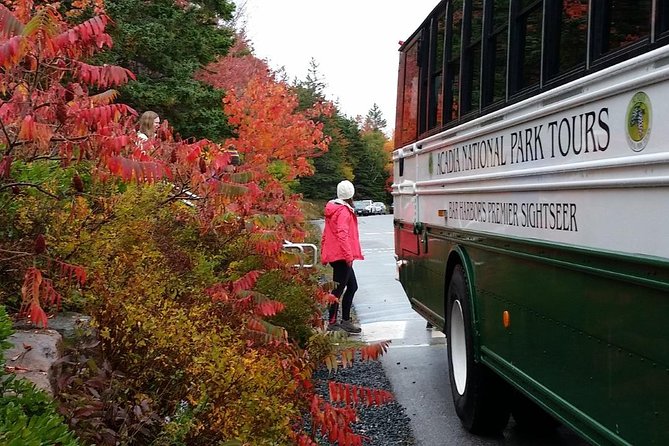 Narrated Bus Tour of Bar Harbor and Acadia National Park - Cadillac Mountain: summit photos and a quick reality check (20 minutes)