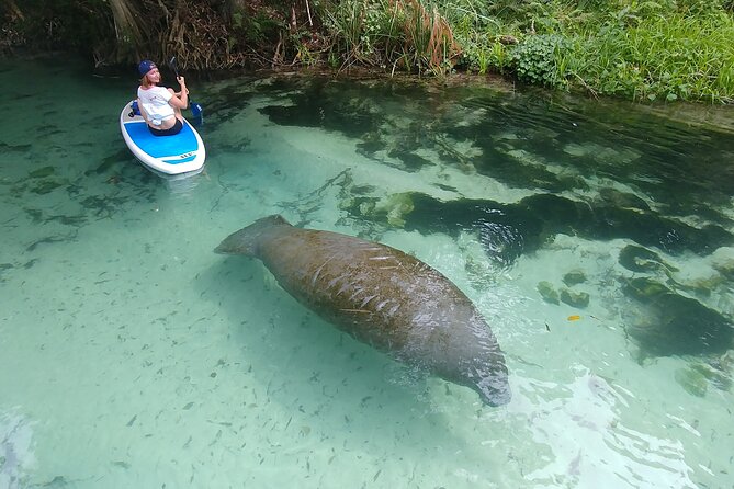 Nature & Island Exploration on SUP/Kayak - Key points before you go