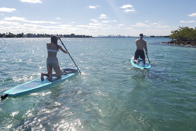Nature & Island Exploration on SUP/Kayak - Mangrove canals and raccoon island: what makes this paddle special