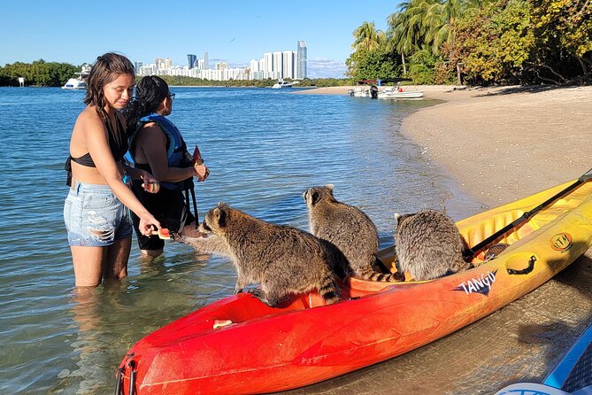 Nature & Island Exploration on SUP/Kayak - Wildlife spotting: what you might see, and how to set expectations