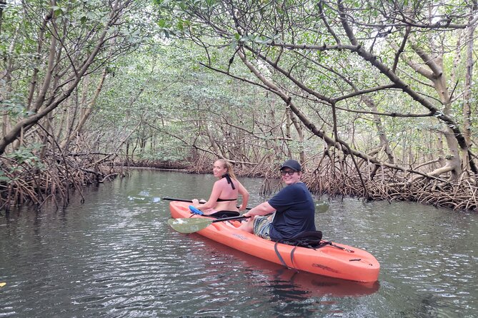 Nature & Island Exploration on SUP/Kayak - Group size, timing, and why it can feel crowded