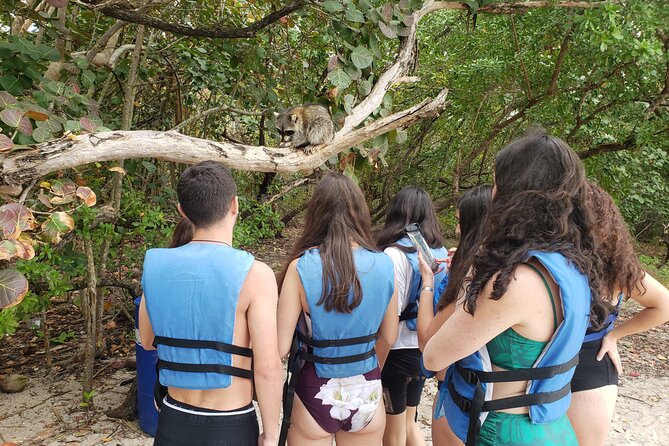 Nature & Island Exploration on SUP/Kayak - Your 4-hour flow: from Venetian Marina to the mangroves
