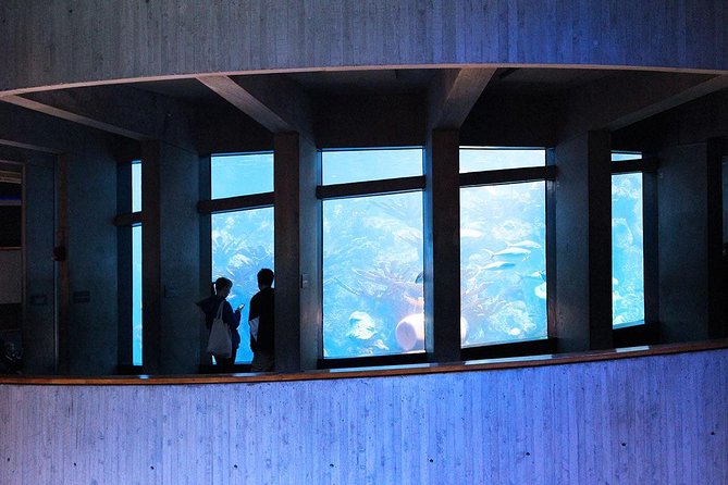 New England Aquarium Admission Ticket in Boston - First impressions at the Aquarium: where you start matters