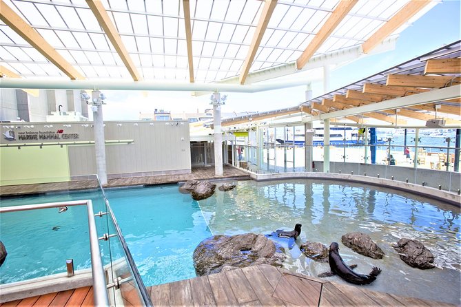 New England Aquarium Admission Ticket in Boston - Penguin Colony: why the viewing design gets such strong praise