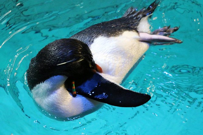 New England Aquarium Admission Ticket in Boston - Touch Tank: hands-on fun for kids and adults