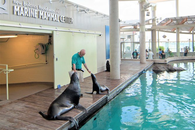 New England Aquarium Admission Ticket in Boston - The Giant Ocean Tank: the centerpiece you plan your route around