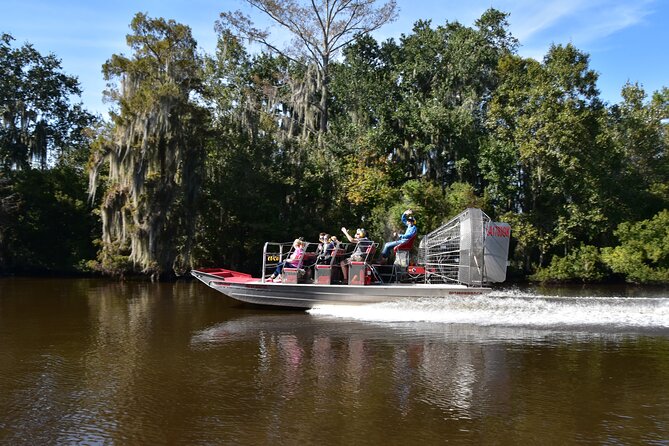 New Orleans Airboat Ride - Wildlife Spotting: What to Look For When Everything Is Moving